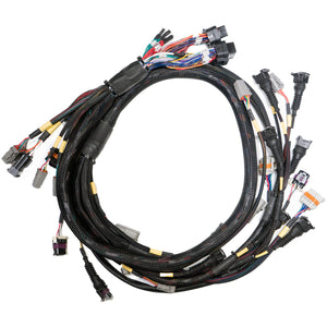 Link G4X StormX ECU + Terminated LS Engine Harness Drive-by-Cable Bundle