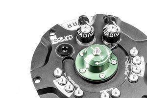 Radium FHST, 370Z, Walbro GSS342, AEM 50-1200, No Pumps Included