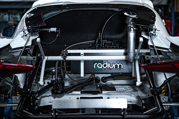 Radium Fuel Cell Weld-In Cage, 10 Gallon