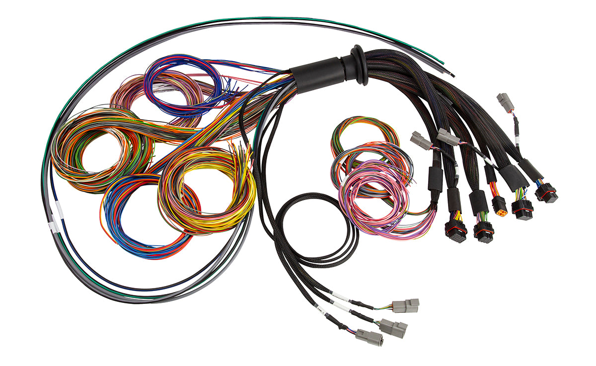 Haltech NEXUS R5 Basic Universal Wire-In Harness 5 Metre Length Length: 5M
