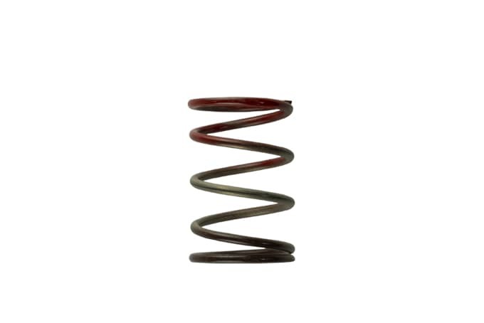 Turbosmart Gen4/IWG WG38-50L 11PSI Middle Spring