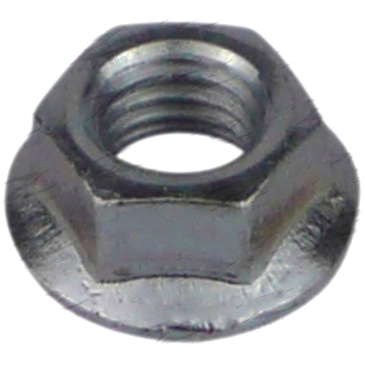 M8x1.25mm Manifold Nut