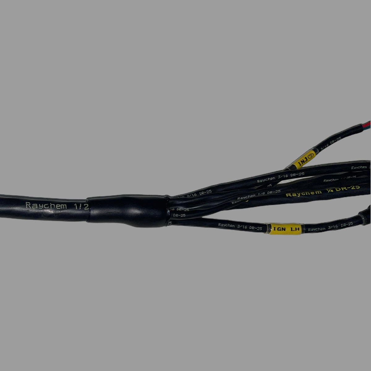 Emtron GM LS3 to KV Terminated Harness